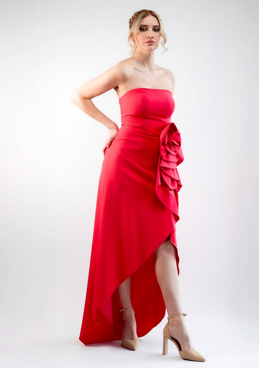 VESTIDO DE FIESTA ROSE CON GRAN Y ELEGANTE APLICACION