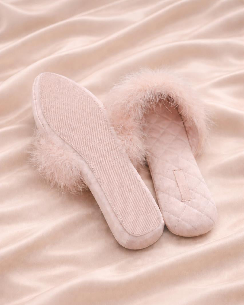 Pack de luxe- edición especial